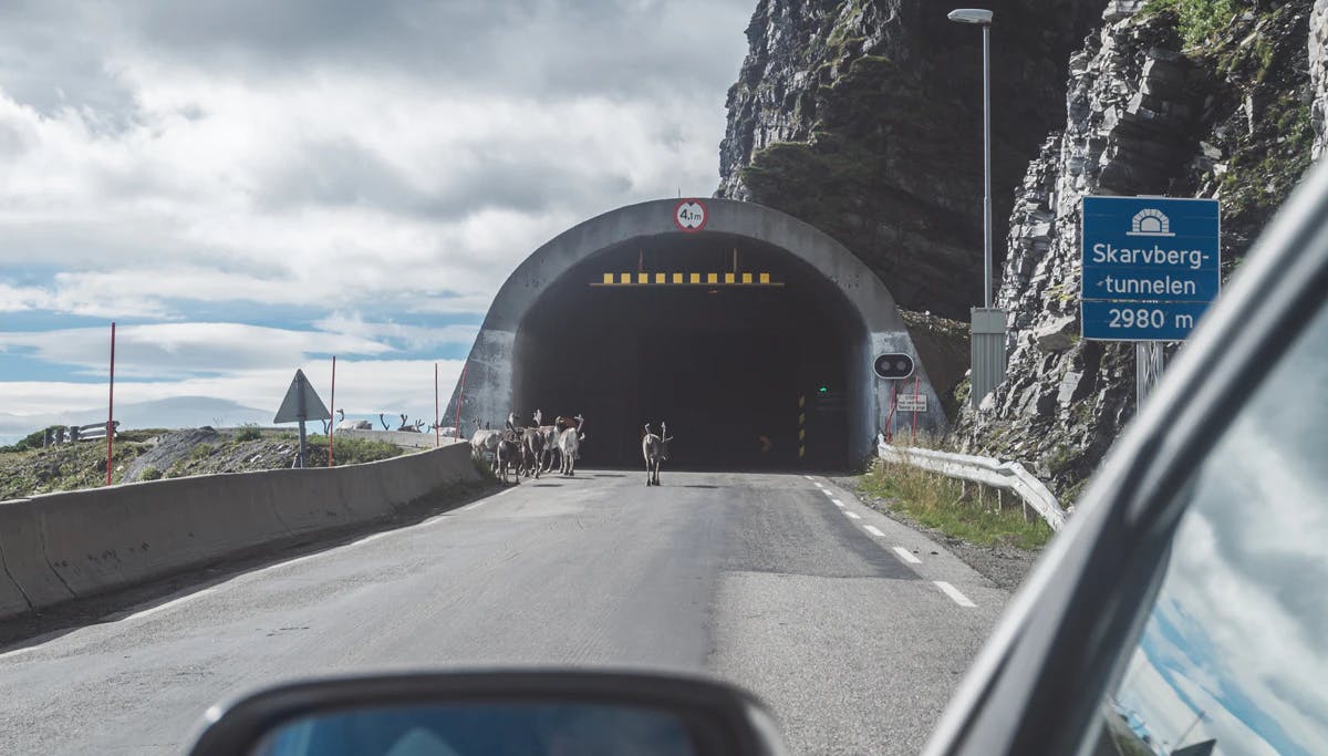 Skarvberg Tunnel
