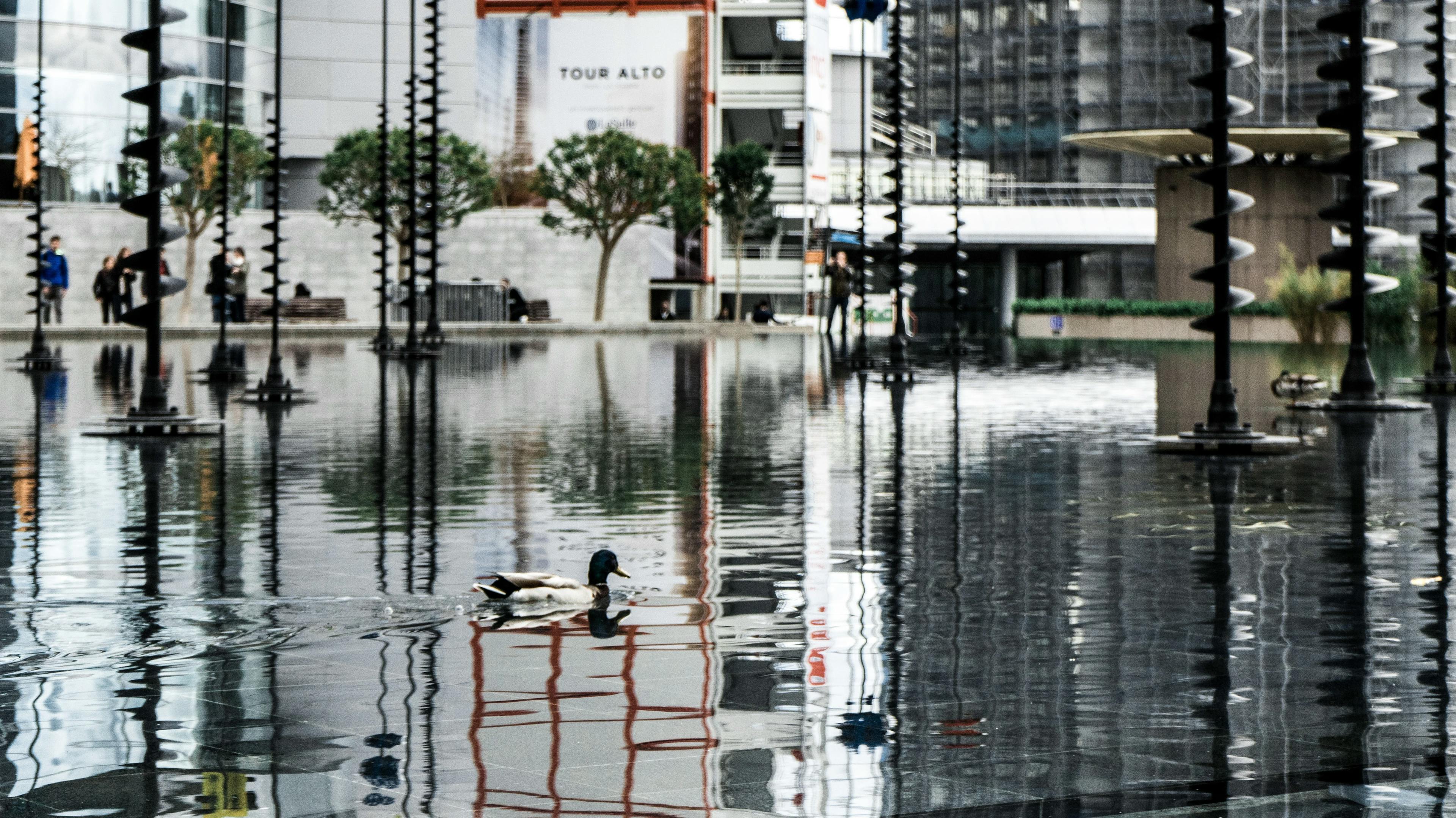 Urban flood